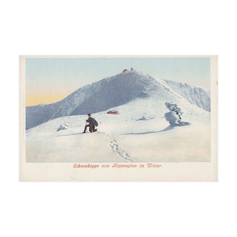 Schneekoppe vom Koppenplan im Winter