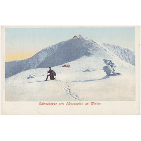 Schneekoppe vom Koppenplan im Winter