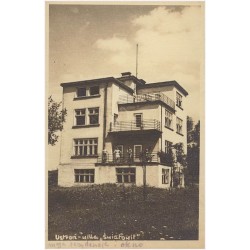 Ustroń - willa "Światowit"