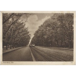 Hindenburg-Allee 2016. Hansestadt Danzig