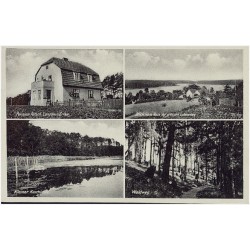 Pension Pötsch Landhaus Erika. Kleiner Koschinsee. Blick vom Haus auf grossen Lubowsee. Waldweg