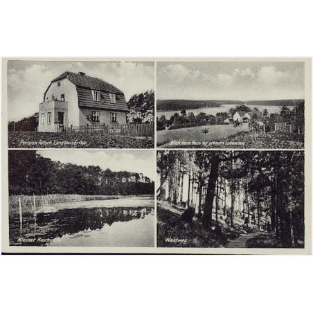 Pension Pötsch Landhaus Erika. Kleiner Koschinsee. Blick vom Haus auf grossen Lubowsee. Waldweg