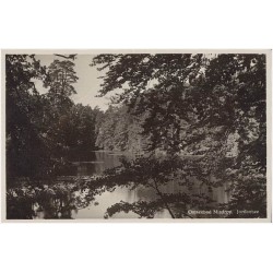 Ostseebad Misdroy. Jordansee