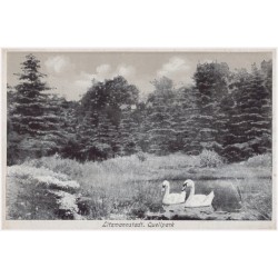 Litzmannstadt, Quellpark