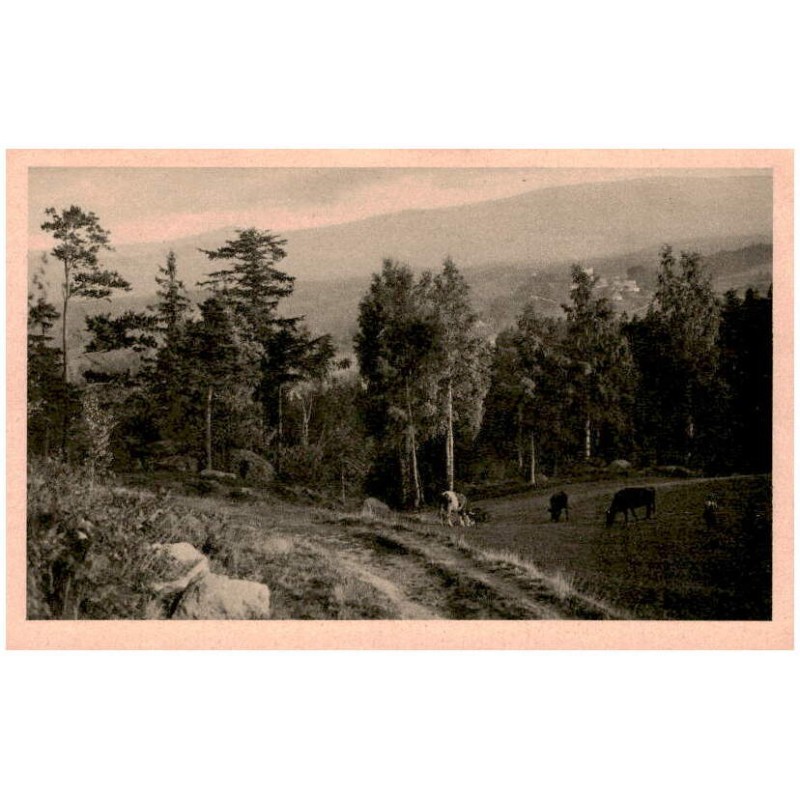 Blick von Saalberg auf den Kamm. Malerische Heimatbilder aus dem Riesengebirge. [...]