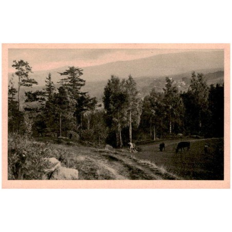 Blick von Saalberg auf den Kamm. Malerische Heimatbilder aus dem Riesengebirge. [...]