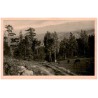 Blick von Saalberg auf den Kamm. Malerische Heimatbilder aus dem Riesengebirge. [...]