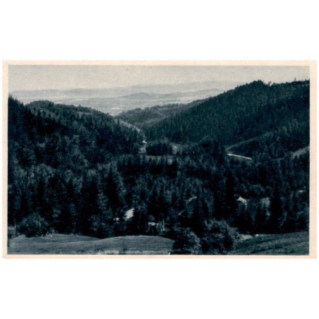 Schlesische Gebirgsbilder. Riesengebirge. Bächeltal bei Giersdorf