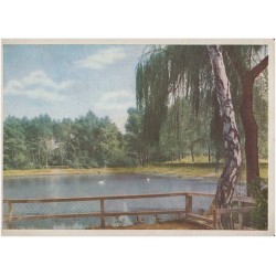 Katowice. Park Kościuszki [Kattowitz O.S. Südpark]