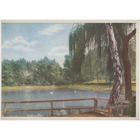 Katowice. Park Kościuszki [Kattowitz O.S. Südpark]