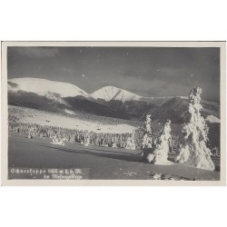 Schneekoppe 1605 m ü. d. M. im Riesengebirge