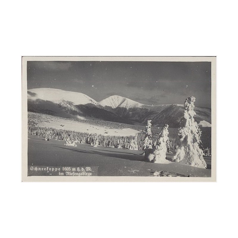 Schneekoppe 1605 m ü. d. M. im Riesengebirge