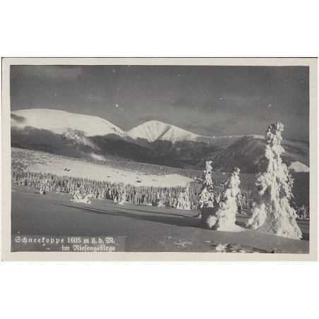 Schneekoppe 1605 m ü. d. M. im Riesengebirge