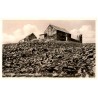 Riesengebirge. Schneekoppenkegel 1608 m ü. M. [...]