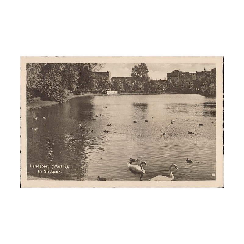 Landsberg (Warthe), Im Stadtpark. 85