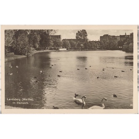 Landsberg (Warthe), Im Stadtpark. 85