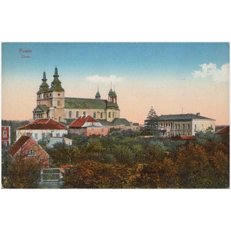 Posen. Dom