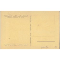 Górale Górnośląscy. [...] malował Aleksander M. Haupt