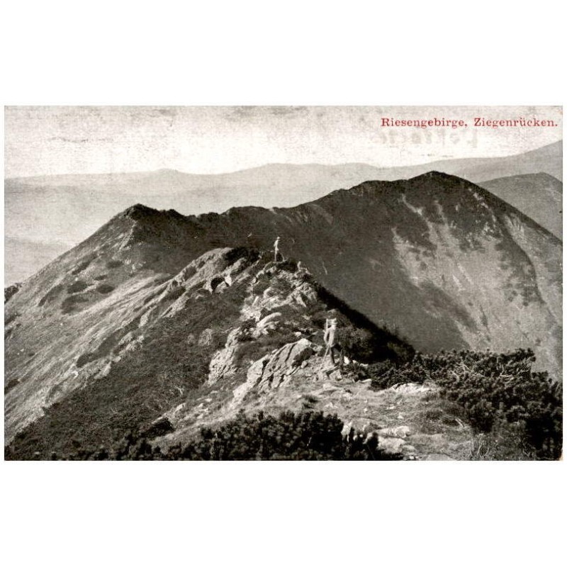 Riesengebirge. Ziegenrücken.