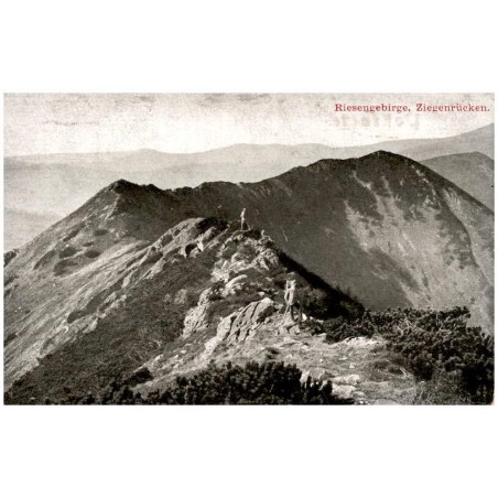Riesengebirge. Ziegenrücken.