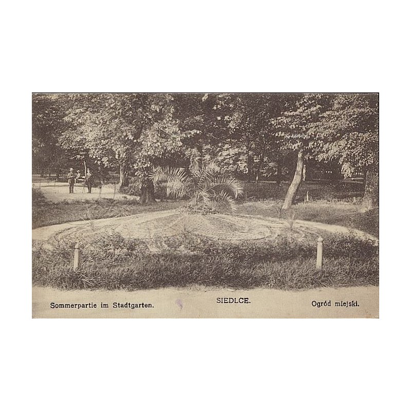 Sommerpartie im Stadtgarten. Siedlce. Ogród miejski