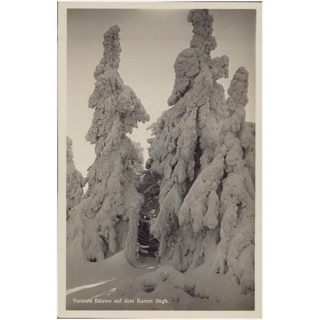 Vereiste Bäume auf dem Kamm Rsgb