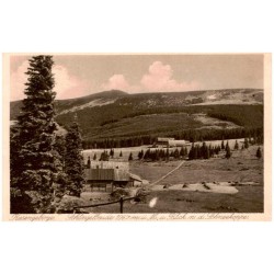 Riesengebirge. Schlingelbaude 1067 m. ü. M., u. Blick n. d. Schneekoppe.
