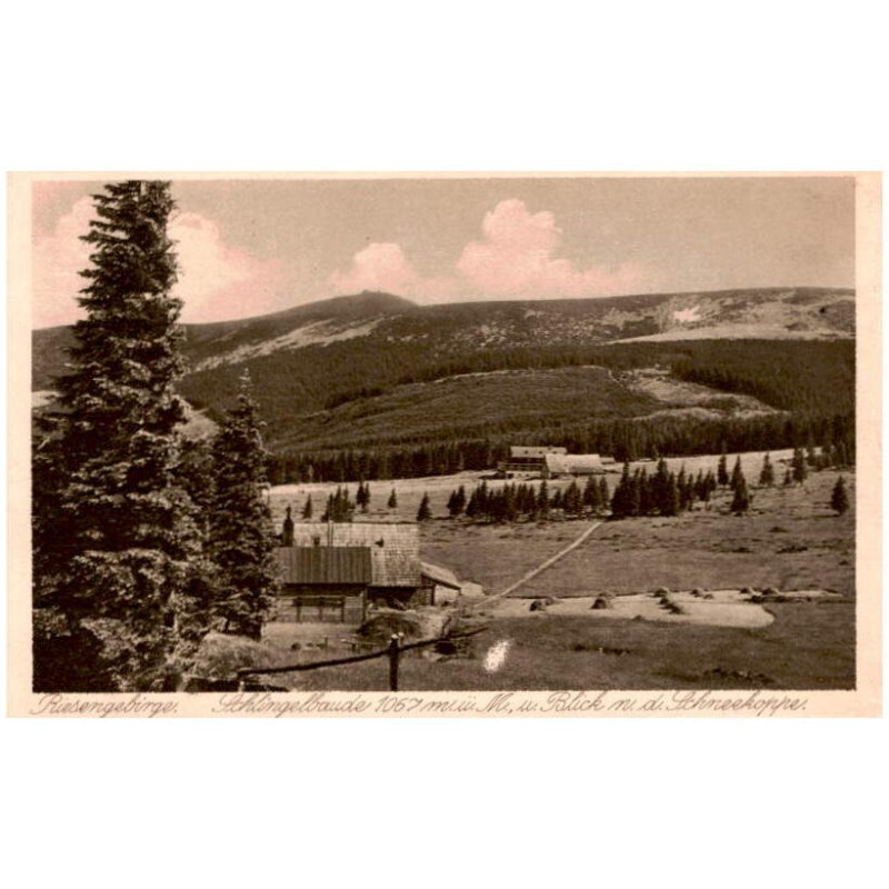 Riesengebirge. Schlingelbaude 1067 m. ü. M., u. Blick n. d. Schneekoppe.
