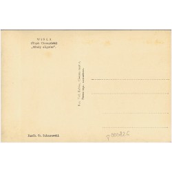 Wisła (Śląsk Cieszyński) "Młody aligator". Rzeźb. Fr. Suknarowski.