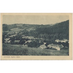 Krynica. Ogólny widok