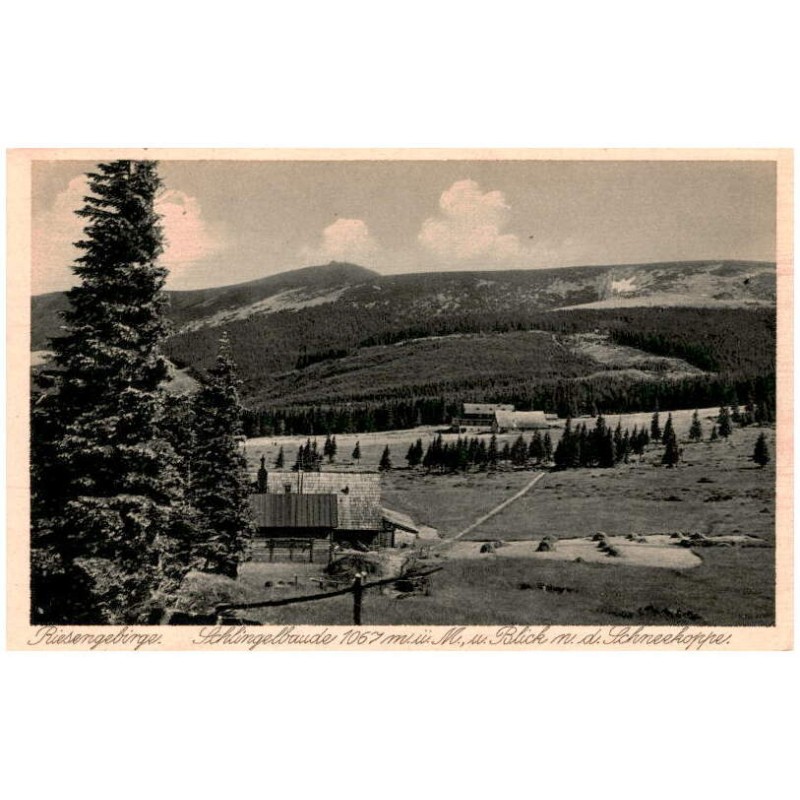 Riesengebirge. Schlingelbaude 1067 m ü. M., m. Blick n. d. Schneekoppe.