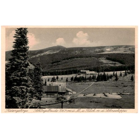 Riesengebirge. Schlingelbaude 1067 m ü. M., m. Blick n. d. Schneekoppe.