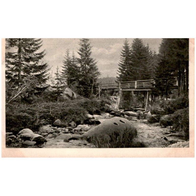 Am Zacken hinter der Gebertbaude