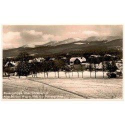 Riesengebirge, Ober-Schreiberhau. Alter Bauden-Weg m. Blick n. d. Schneegruben 82229