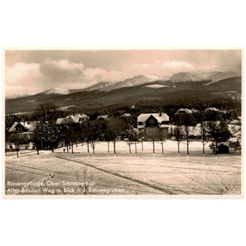 Riesengebirge, Ober-Schreiberhau. Alter Bauden-Weg m. Blick n. d. Schneegruben 82229