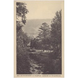 Bad Schwarzbach im Isergebirge. Landschaft am Birkenwäldchen