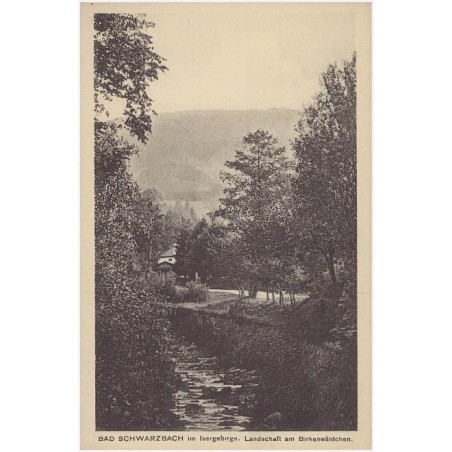 Bad Schwarzbach im Isergebirge. Landschaft am Birkenwäldchen