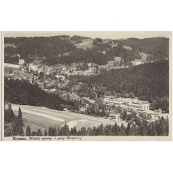 Krynica, Widok ogólny z góry Krzyżowej