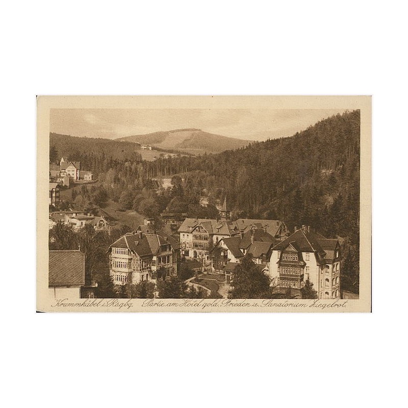 Krummhübel i. Rsgbg. Partie am Hotel gold Frieden u. Sanatorium Ziegebrot