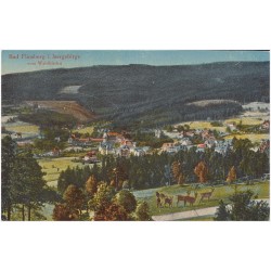 Bad Flinsberg i. Isergebirge vom Waldfrieden