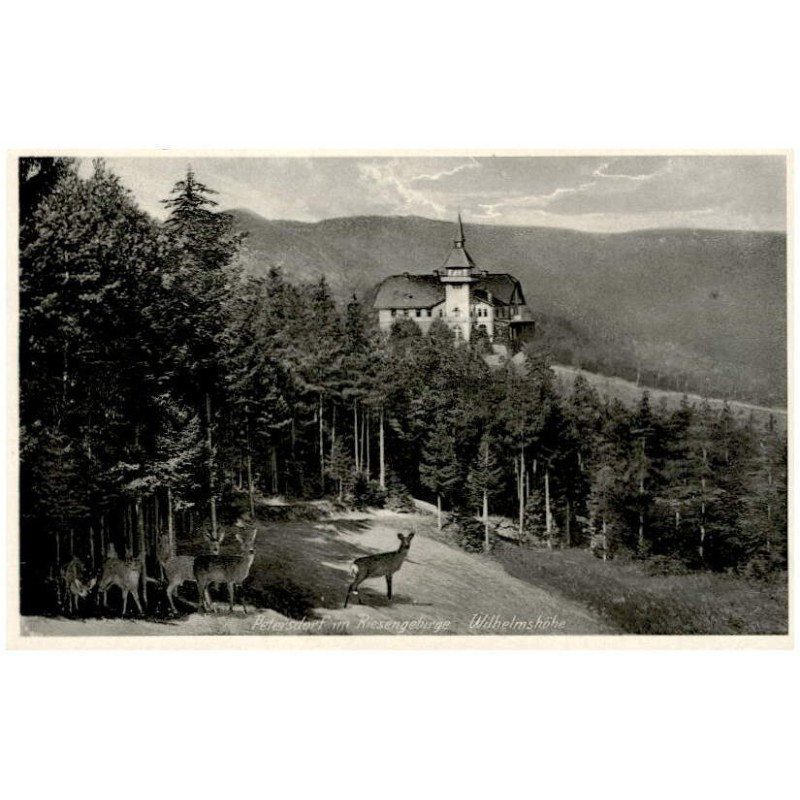 Petersdorf im Riesengebirge, Wilhelmshöhe