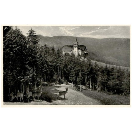 Petersdorf im Riesengebirge, Wilhelmshöhe