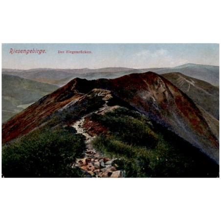 Riesengebirge. Der Ziegenrücken.