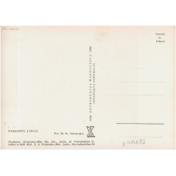 Pomrowik (Limax) Fot. Dr St. Sekutowicz