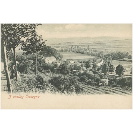 Z okolicy Cieszyna