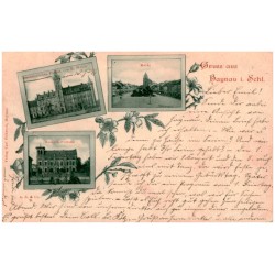Gruss aus Haynau i. Schl. Raubtierfallen-Fabrik von R. Weber. Markt. Kaiserl. Postamt