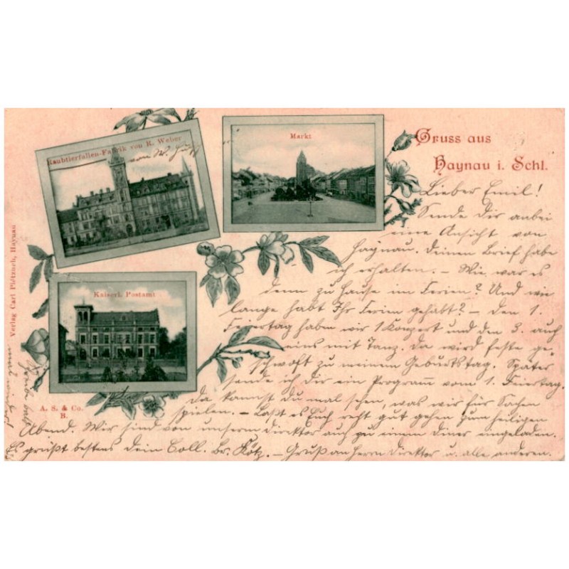 Gruss aus Haynau i. Schl. Raubtierfallen-Fabrik von R. Weber. Markt. Kaiserl. Postamt