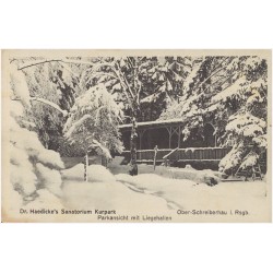 Dr. Haedicke's Sanatorium Kurpark. Parkansicht mit Liegehallen. Ober-Schreiberhau i. Rsgb. [...]