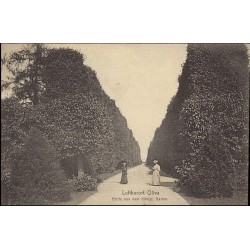 Luftkurort Oliva. Partie aus dem Königl. Garten