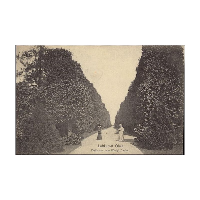 Luftkurort Oliva. Partie aus dem Königl. Garten